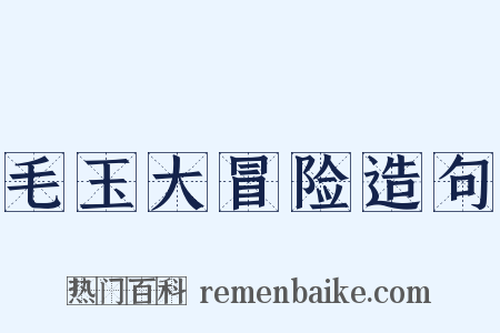 毛玉大冒险造句是什么意思的图片